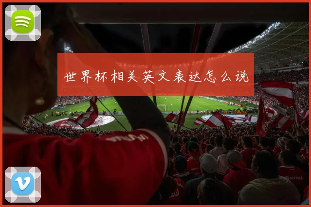 世界杯相关英文表达怎么说