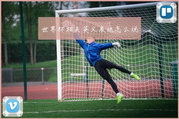世界杯相关英文表达怎么说