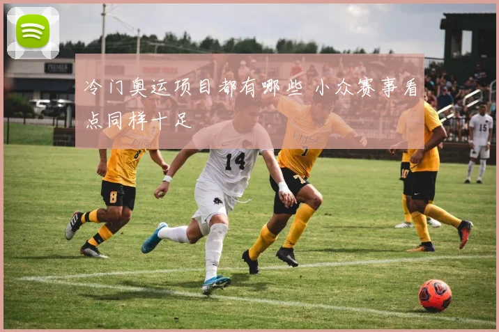 冷门奥运项目都有哪些 小众赛事看点同样十足